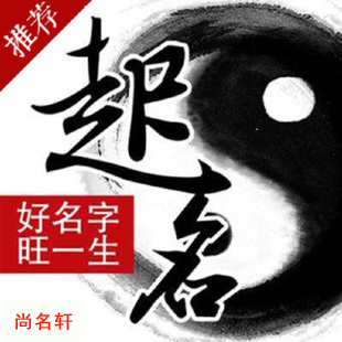公安宝宝起名