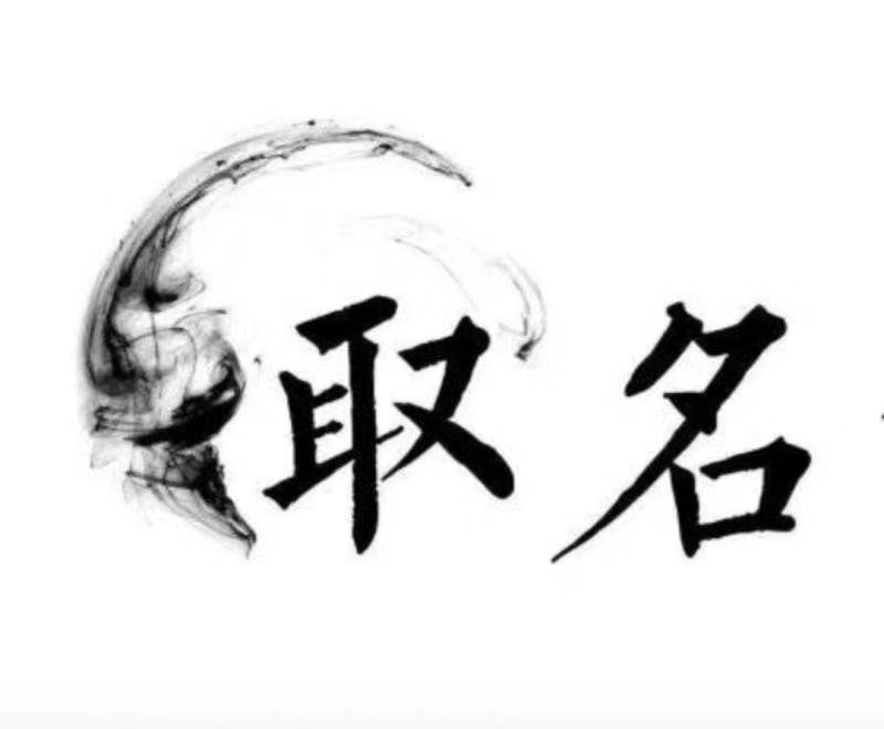  公安宝宝取名 大师一对一人工起名