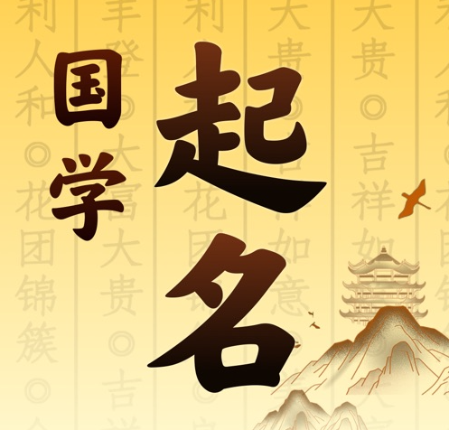 公安国学起名 人工起名一对一